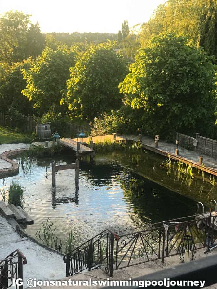 Natural Pools Creating A Backyard Swimming Pond Diy Danielle