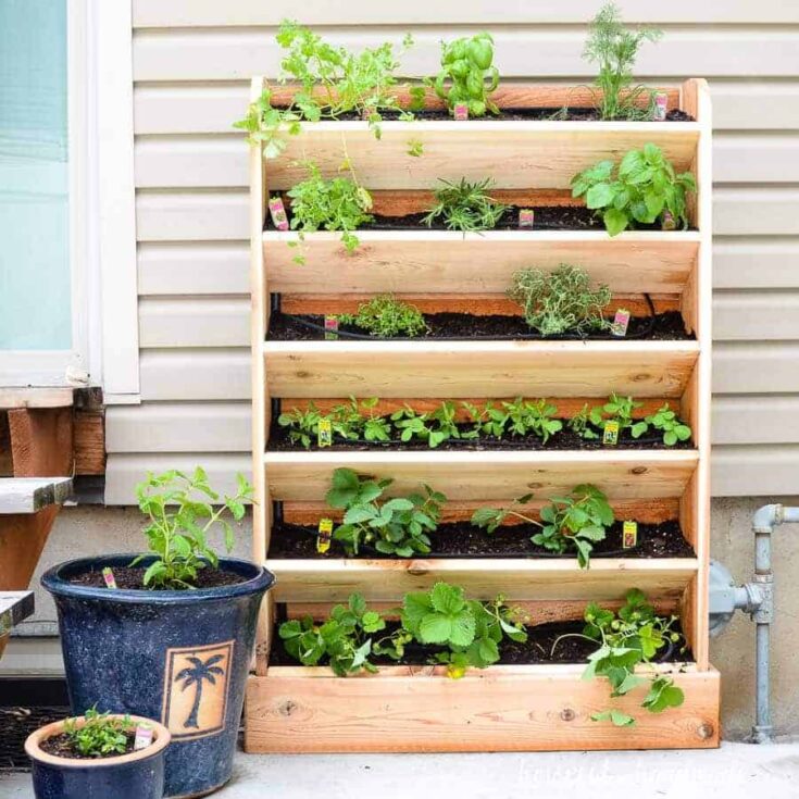 Image for DIY Vertical Garden with Drip Watering System