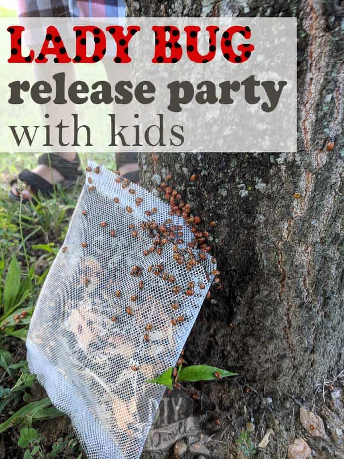 Hosting a ladybug release party and making it educational for children. This is a great way to combat aphids in your garden.