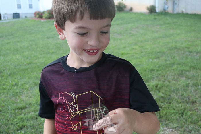 My son, 6, holding a ladybug on his hand.