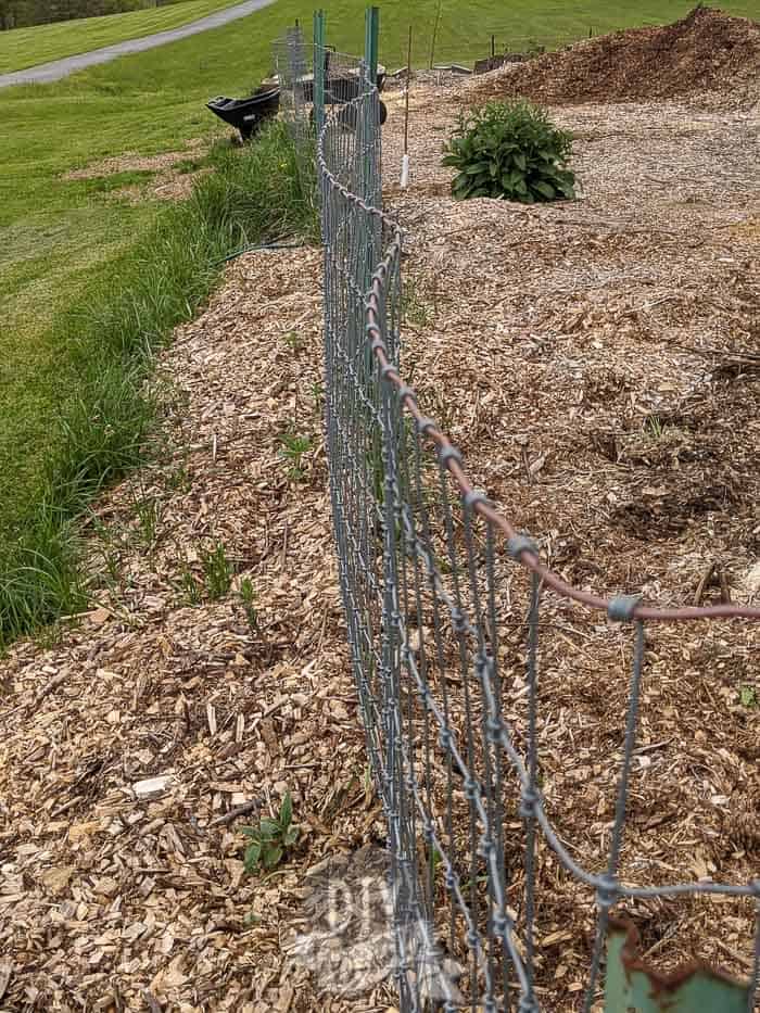 no climb woven wire fencing around my back to eden style garden/ food forest.