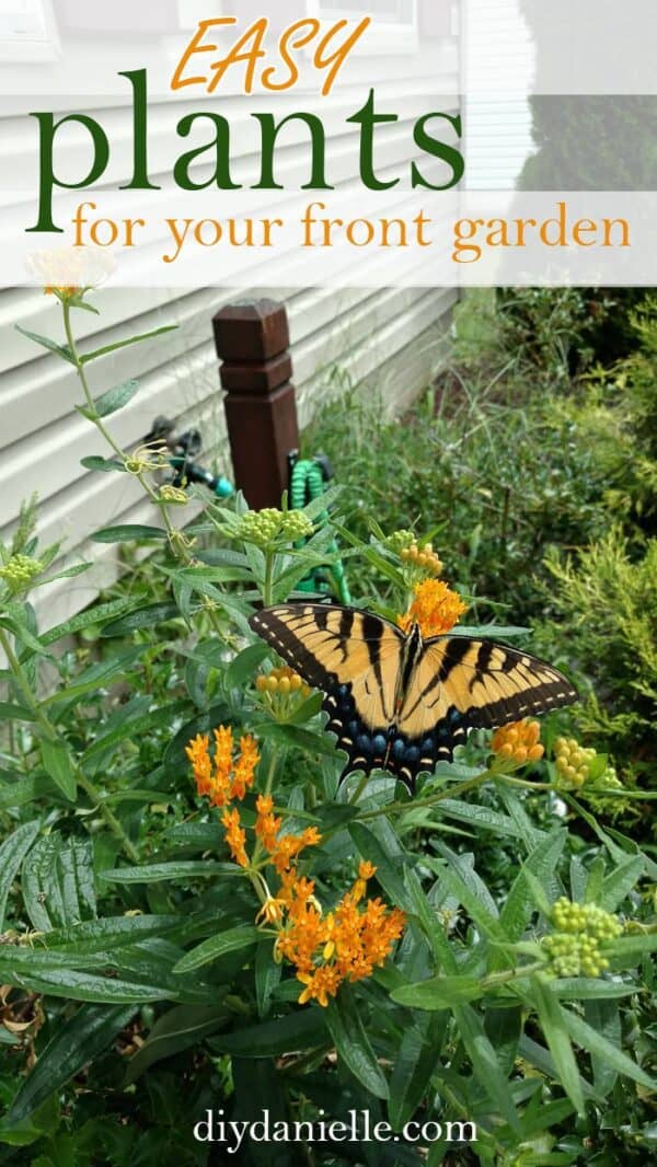 Easy Plants to Grow Outside for a Beautiful Garden DIY Danielle®