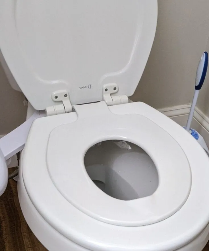 built-in potty installed