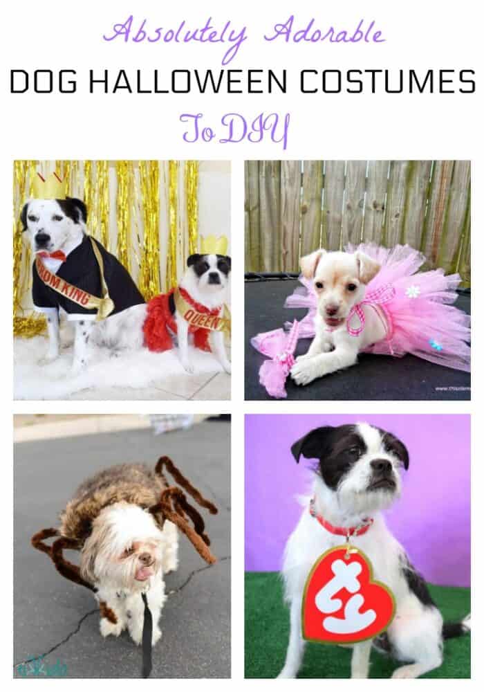 16 Easy DIY Dog Costume Ideas To Try This Halloween