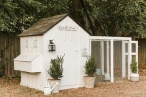 DIY chicken coop