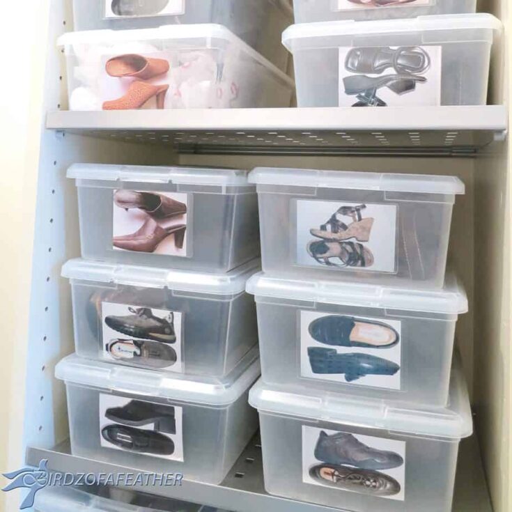 Image for Sole Searching &ndash; A Shoe Storage Solution
