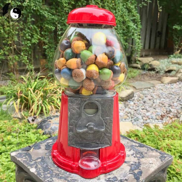 Image for Fall Decor Acorn DIY