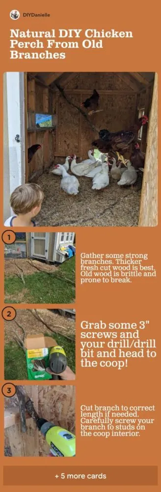 Natural DIY Chicken Perch from Old Branches: 3 steps in the process to attach strong branches to your chicken coop interior to create a perch. 