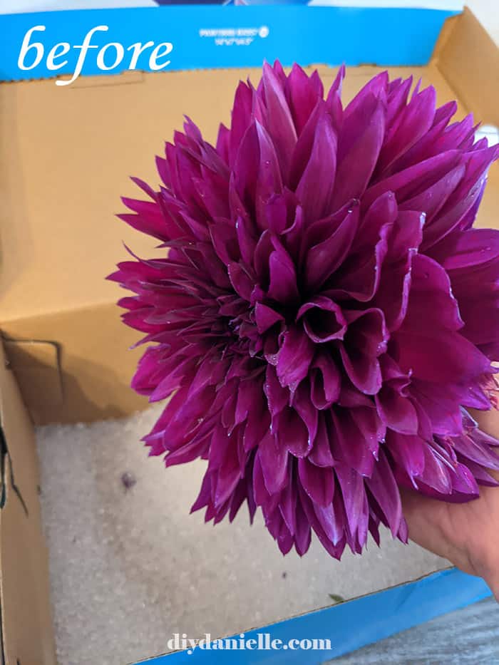 Drying Flowers in Silica Gel, Flower Preservation