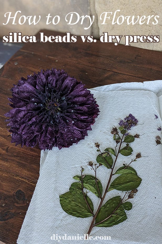 Comparison of a silica bead dried flower and one dried by pressing.