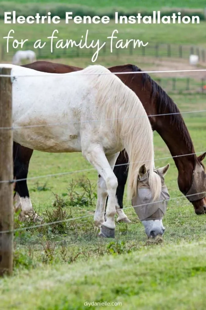 Electric Fence Installation | Family Farm DIY Tips : Photo of horses grazing inside a pasture with wood posts and electric strands.