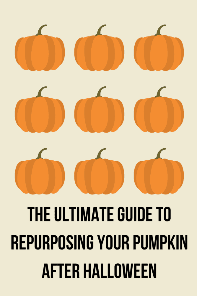The ultimate guide to repurposing your pumpkin after Halloween with photos of nine sketched pumpkins. 