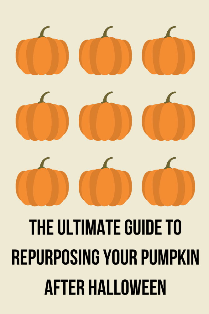 The ultimate guide to repurposing your pumpkin after Halloween with photos of nine sketched pumpkins.