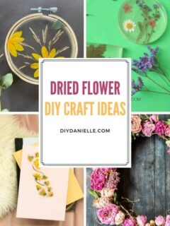 what to do with dried flowers collage