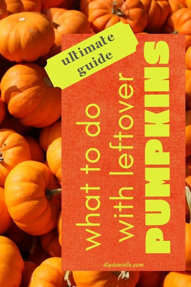 What to do with leftover pumpkins from Halloween or your garden this Fall! Lots of great ideas! Photo: small orange pumpkins.