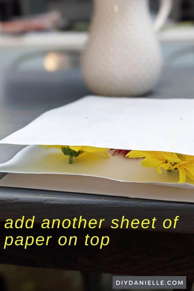 Cover with another sheet of paper so the flowers are sandwiched between the paper.