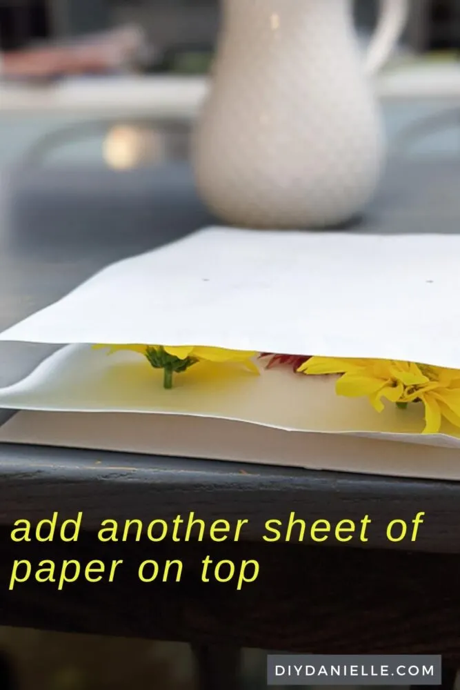 Cover with another sheet of paper so the flowers are sandwiched between the paper.