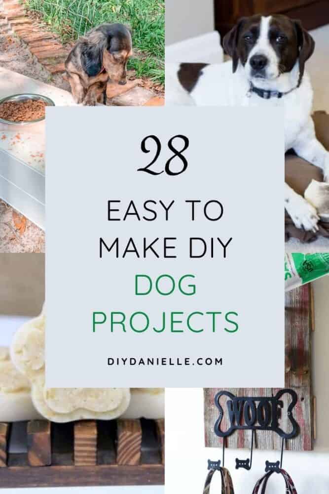 11+ DIY Projects For Your Dog!