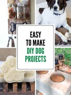 28 diy dog projects