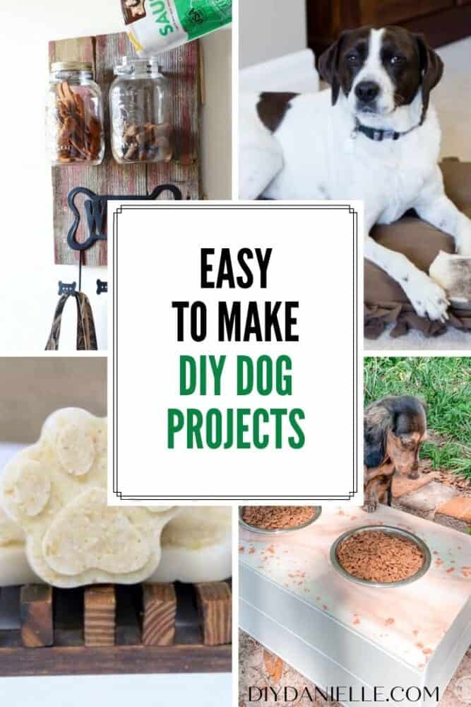 28 diy dog projects