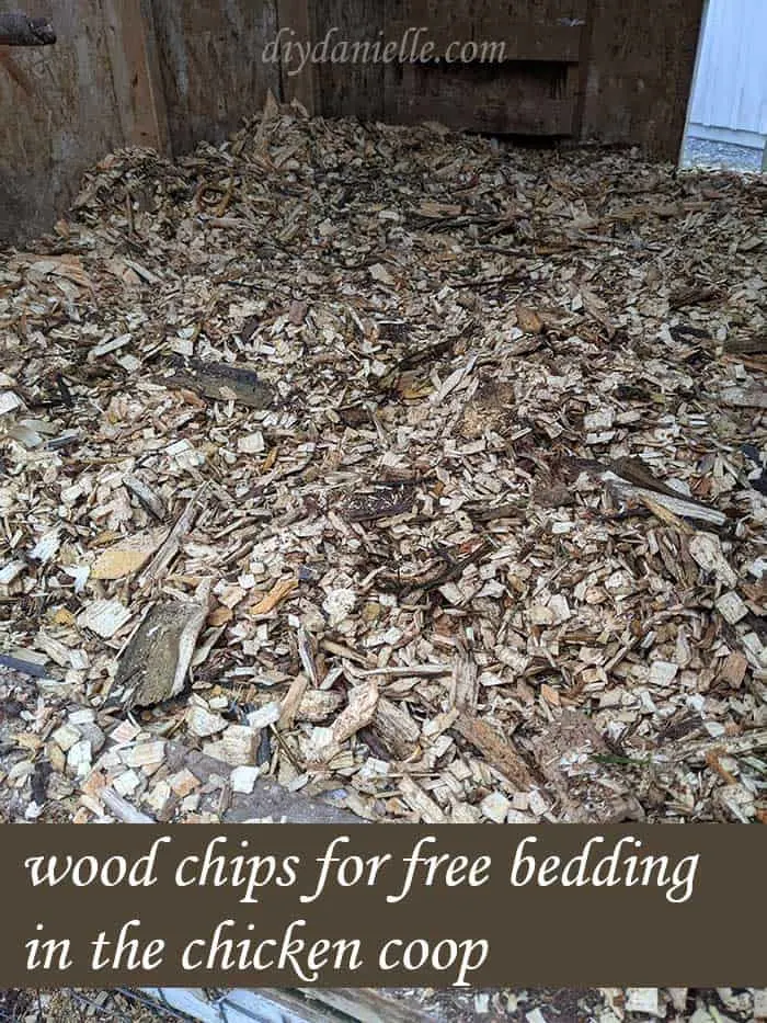 I use wood chips for bedding in my chicken coop. 
