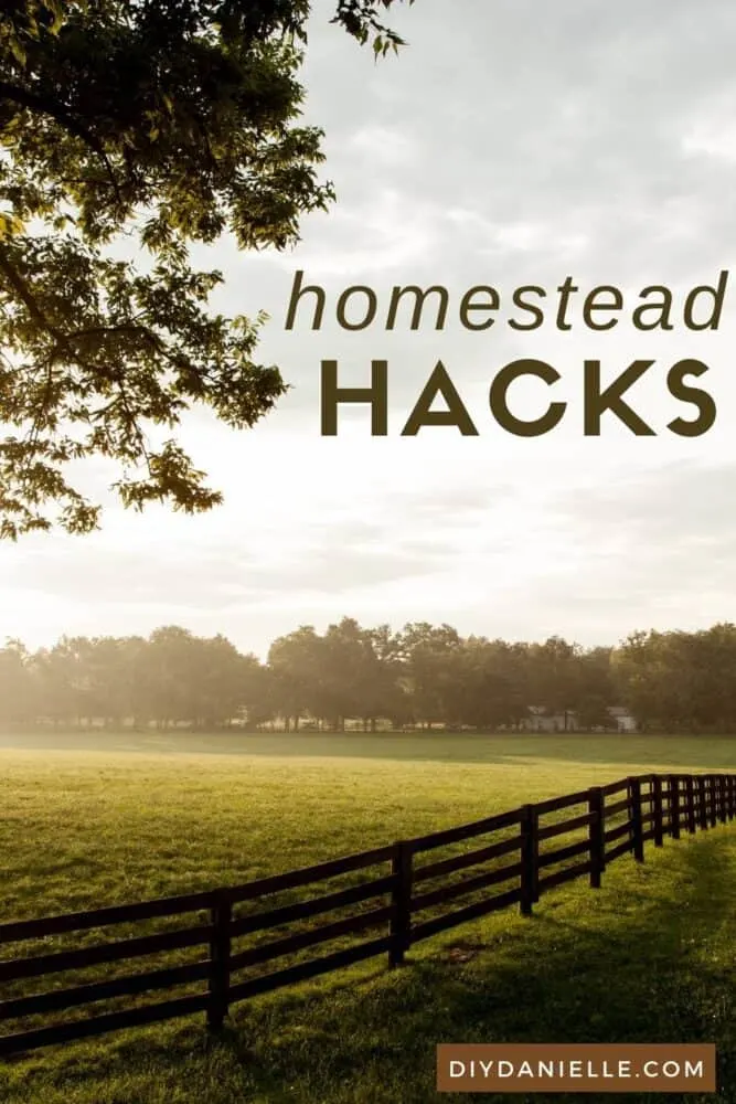 Homestead hacks to make your farm work easier.