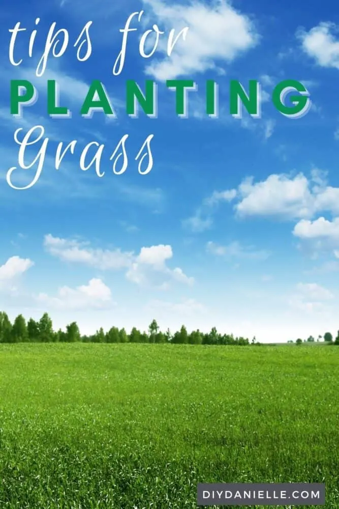 Tips for planting grass: photo of a large green lawn.