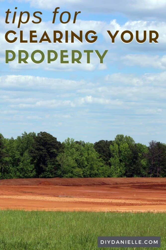 Tips for clearing your property. Photo of a forest in background with cleared land in front. 