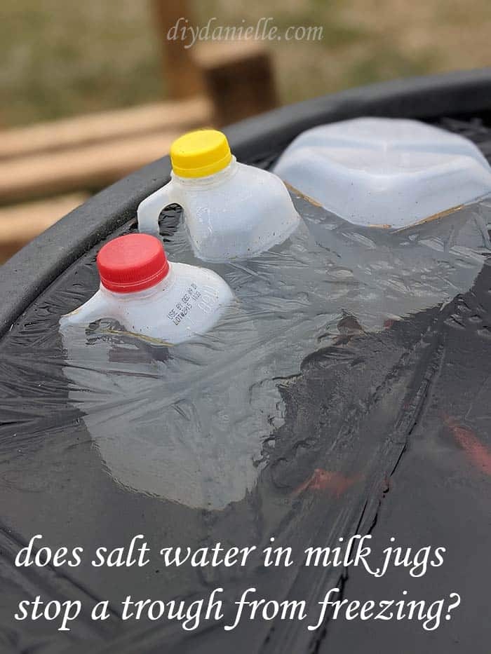 Some people claim you can add milk jugs with salt water to your trough and it will keep the trough from freezing. Verdict is out so far as there's obviously ice in this photo.