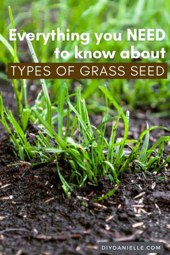 New to planting grass? Check out this article: How to Plant Grass