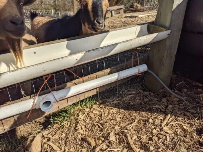 Wiring run through a PVC pipe to keep animals from chewing on it.