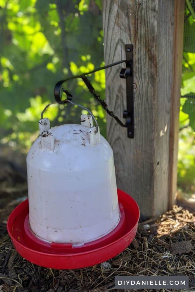 Chicken waterer hanging off a post in the chicken run from a plant bracket.