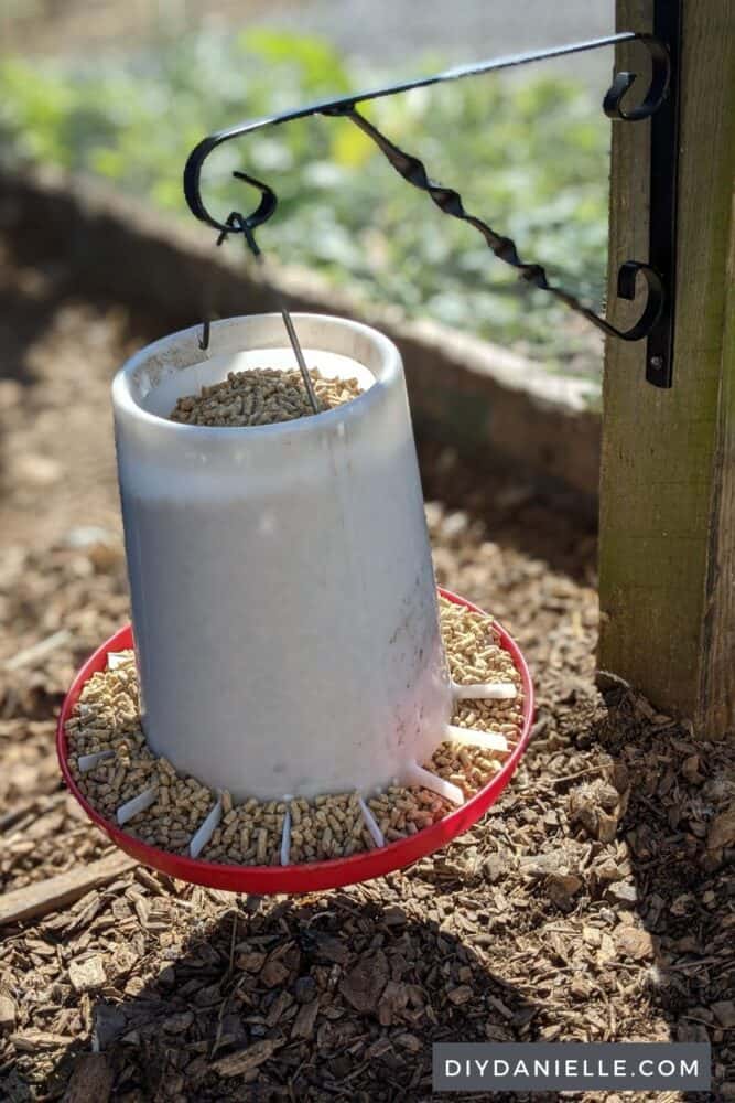 Chicken feeder hanging off a post in the chicken run from a plant bracket.