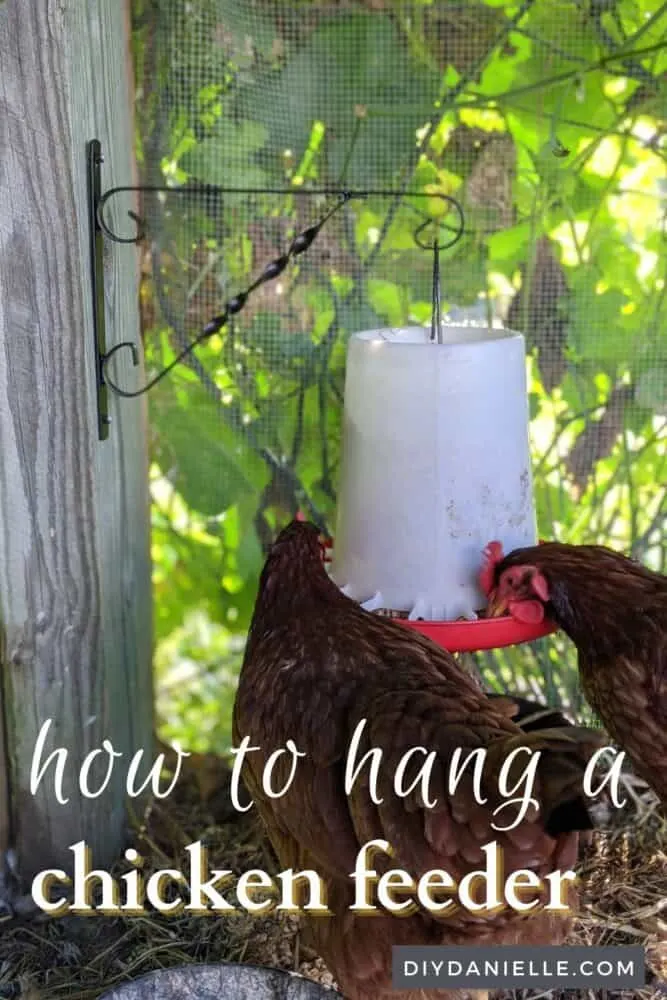 Use a plant bracket to hang your chickens' feed and water. It's easy to do, attractive and keeps feed off the ground!