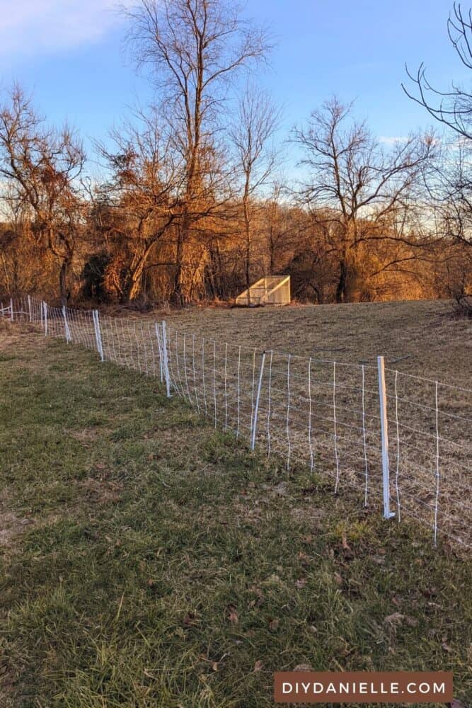 Electric netting fence installed in backyard