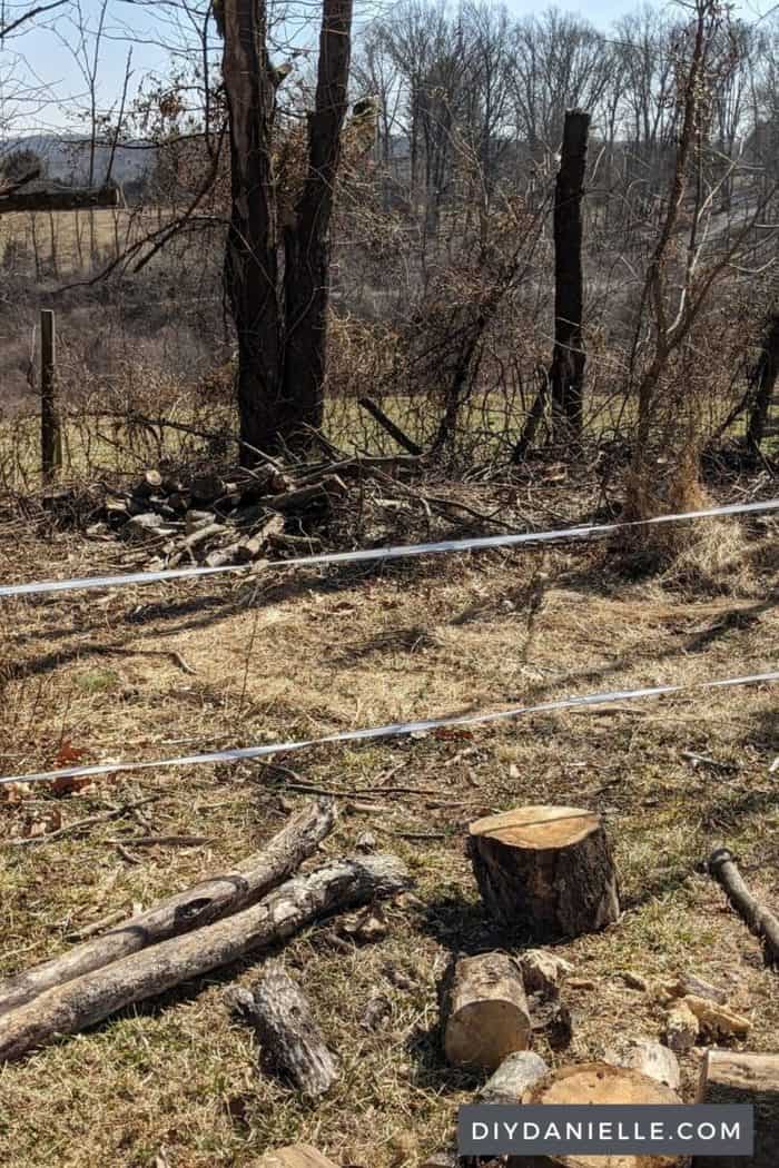 How to Clear Land A Beginner’s Guide to Clearing Property DIY Danielle®