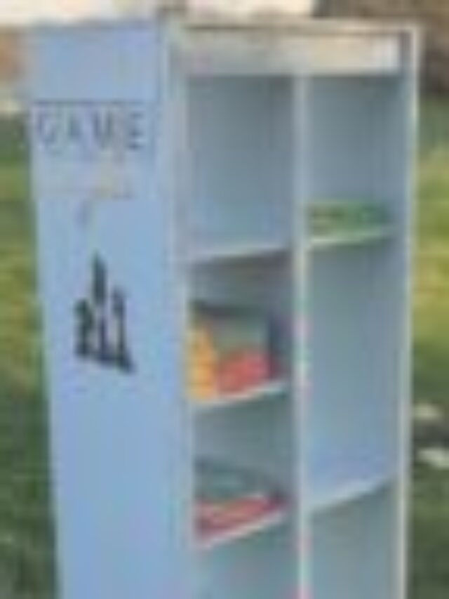 cropped-cropped-BoardGameStorageCabinet.jpg