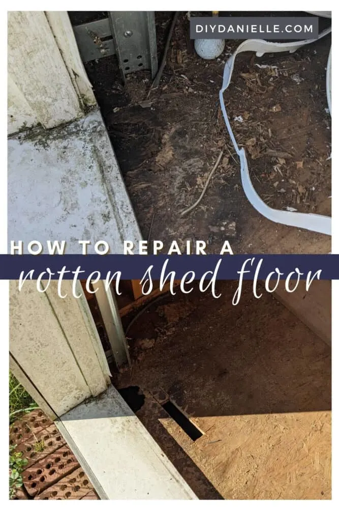 How to repair a rotten shed floor. If you have a piece of flooring that is rotten, you can cut away the bad piece and replace it easily. Here's how.