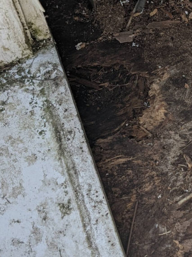 cropped-rottenshedfloor.jpg