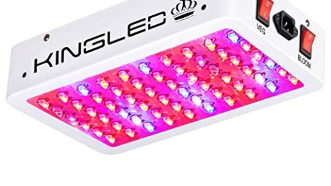 Image for King Plus 600W LED Grow Light Full Spectrum for Indoor Plants Veg and Flower(Dual-Chip 10W LEDs 60Pcs)