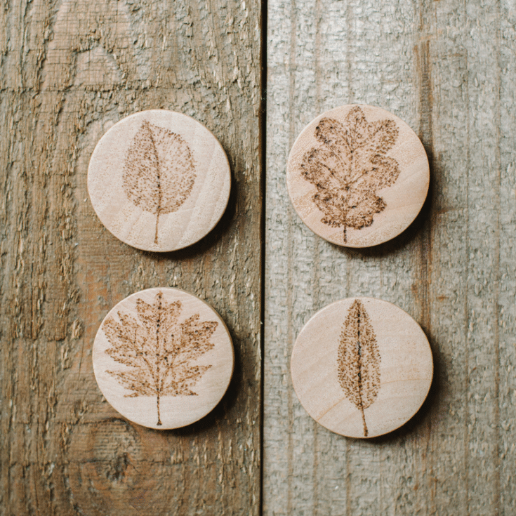 Image for DIY Wood Burned Leaf Magnets on Wood Slices