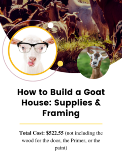 framing-diy-goat-house-cover-image