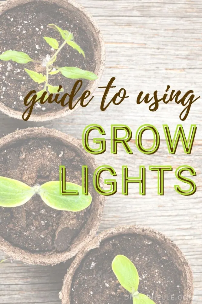 Guide to Using Grow lights: Everything you need to know about Indoor gardening with grow lights: What are grow lights? What type should I buy? How do I use them?