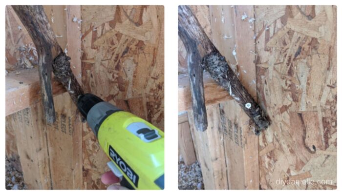 I used 3" Spax screws to attach the branches to studs inside the chicken coop.