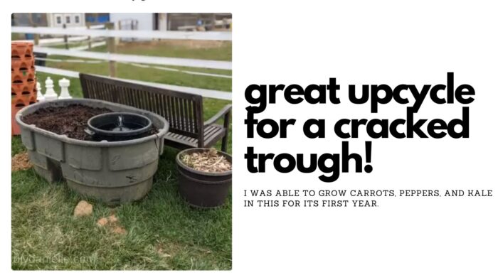 This is a great upcycle for a cracked trough! I was able to grow carrots, peppers, and kale in this for the first year.