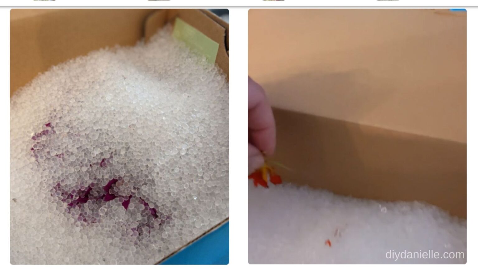 How to Dry Flowers with Silica Gel DIY Danielle®