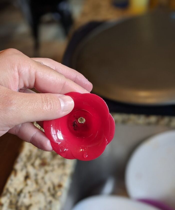 Mold inside a piece of the hummingbird feeder.