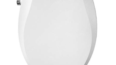 Image for Brondell Swash Ecoseat Non-Electric Bidet Toilet Seat