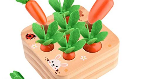 Image for Baby Carrots Educational Wooden Toys&nbsp;