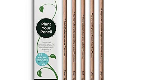 Image for Graphite Plantable Pencils with Seeds in Eco-Friendly Wood&nbsp;